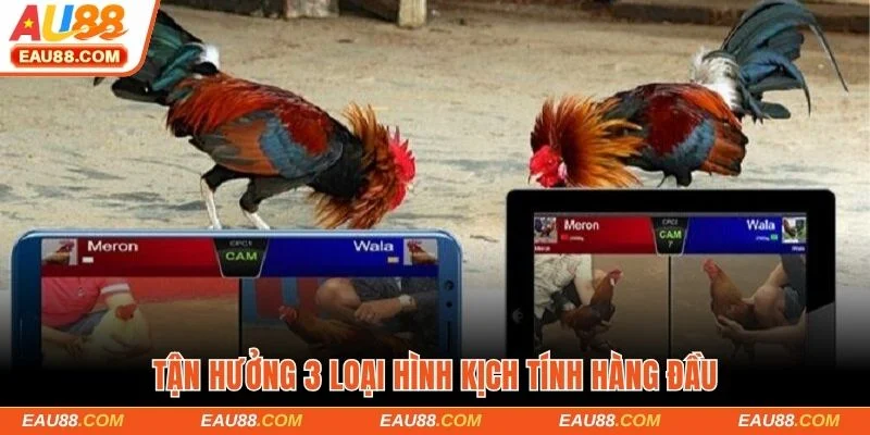 Tận hưởng 3 loại hình trải nghiệm kịch tính hàng đầu